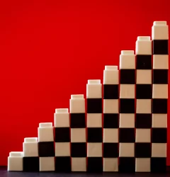 Organizational Structure
